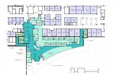 20120222_ED-OPT2-ORTHO